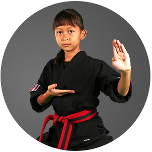 Martial Arts Impact Martial Arts Karate for Kids